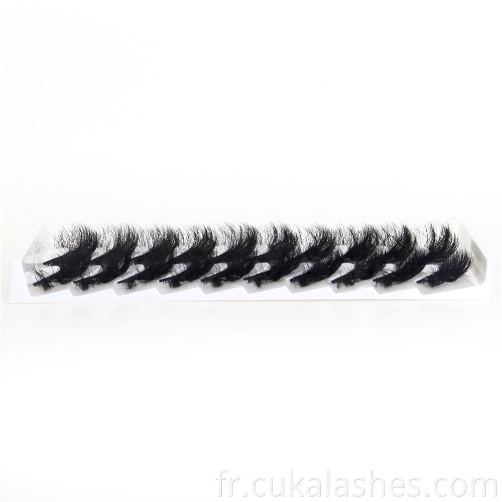 10 Pairs Lashes